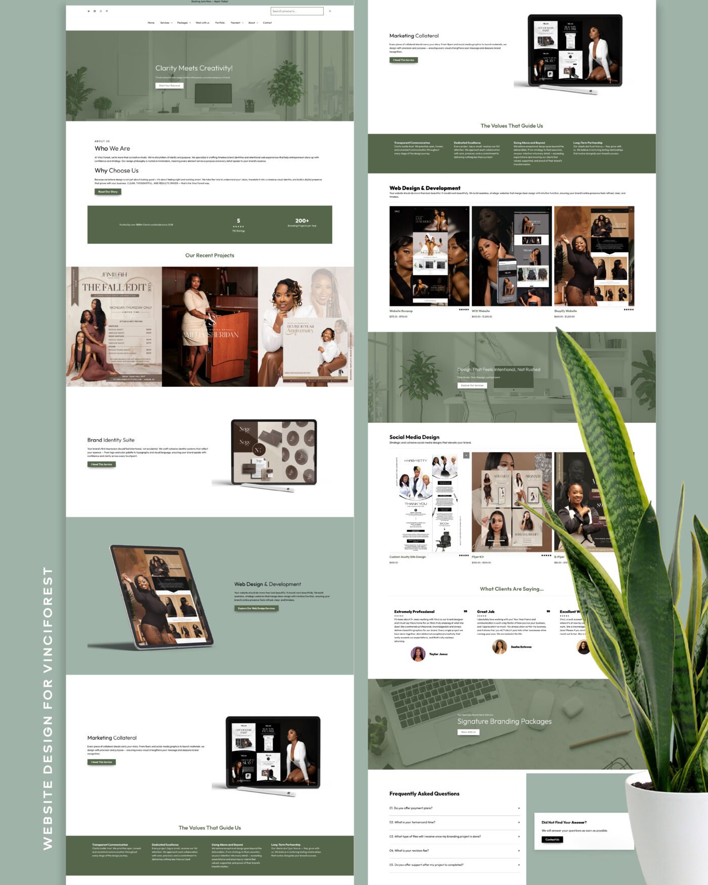 WordPress Website
