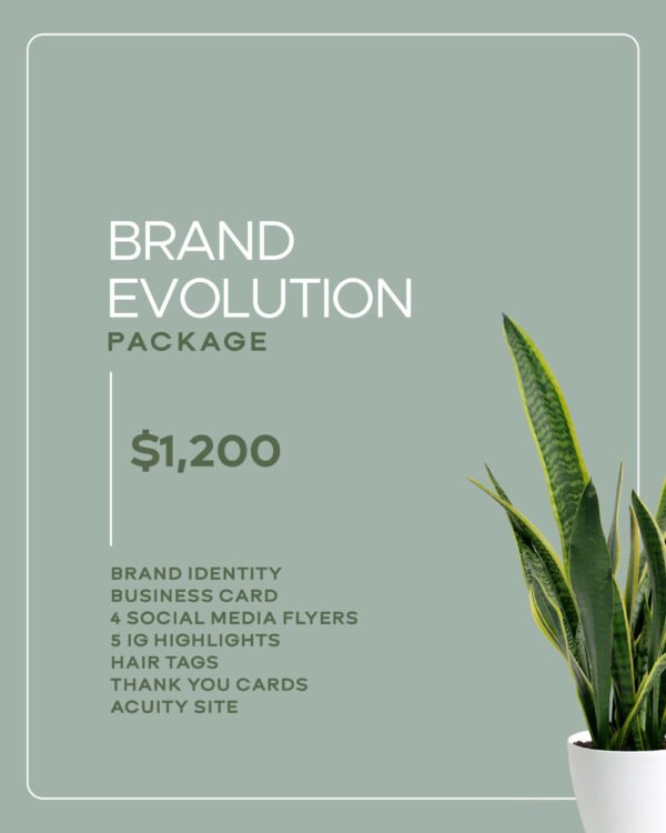 Brand Evolution Package
